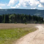 Frühstückspension Przystanek Lasowka