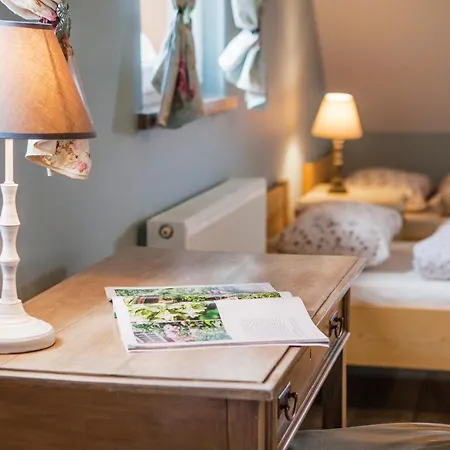 Bed & Breakfast Przystanek Lasowka