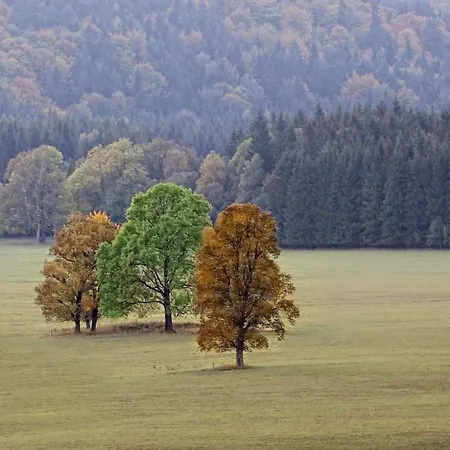 Przystanek Bed & Breakfast