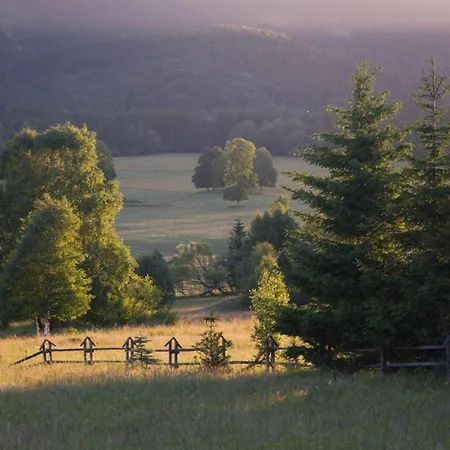 Bed & Breakfast Przystanek Lasowka