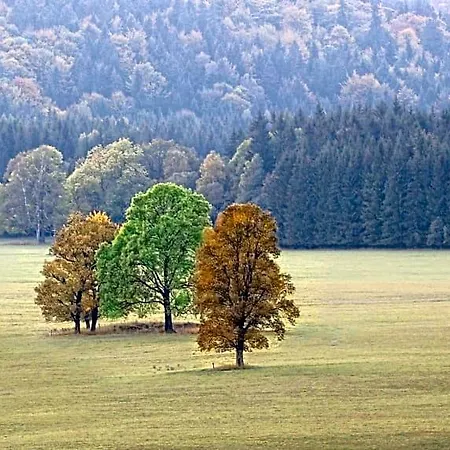 Przystanek Oda ve Kahvaltı 3*