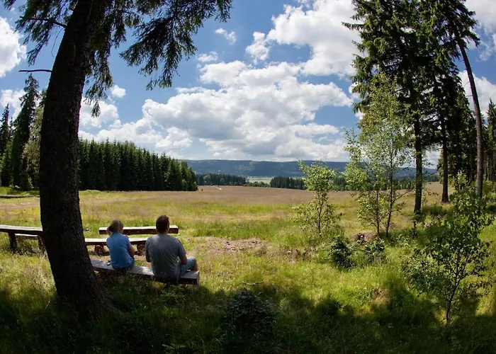 Przystanek Bed & Breakfast Lasowka