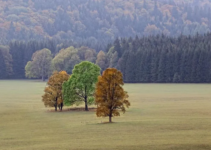 Przystanek Bed & Breakfast