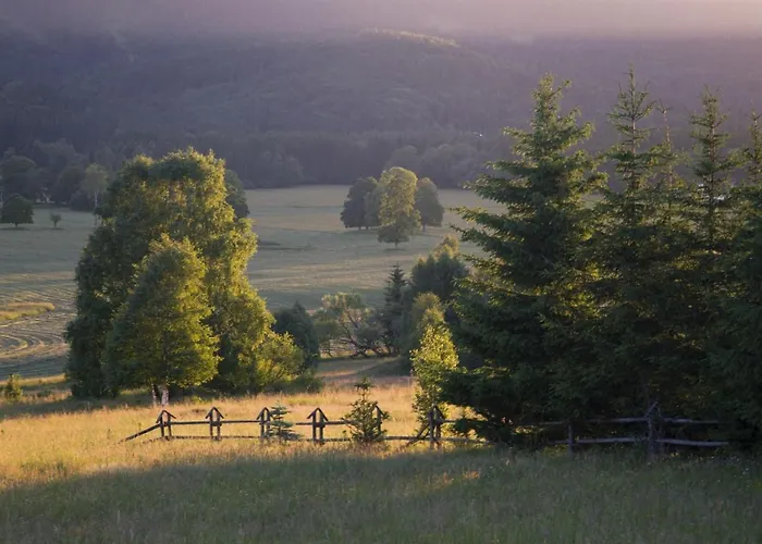 Nocleg ze śniadaniem Przystanek Lasówka Lasowka